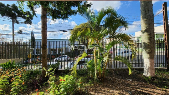 Casa com ponto comercial no Alto da Rua XV